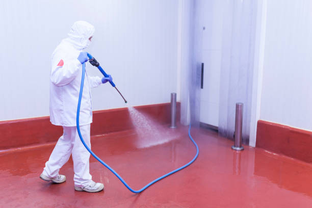 Best Warehouse Cleaning  in Hanapepe, HI
