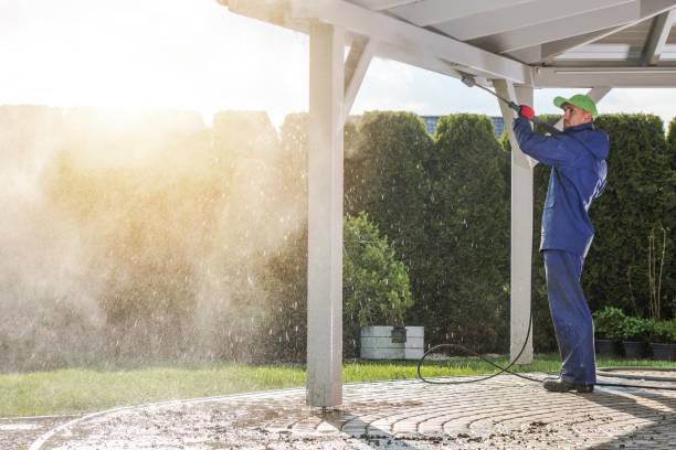 Best Solar Panel Cleaning  in Hanapepe, HI